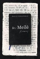 žr.: Meilė (knyga su defektais) - David Grossman