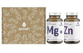 Maisto papildų ECOSH Rinkinys JAM: Bioaktyvus Magnis su vitaminu B6 N90 + Bioaktyvus Cinkas N90
