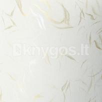 Dekoratyvinis popierius WIATR A4 baltas 230g 20l