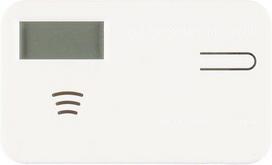 Tarmo Carbon monoxide detector displayed on screen (614063)