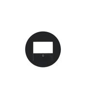 Dangteliai Berker R.1/R.3 Dangtelio tipas USB Spalva Juoda