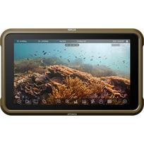 Atomos monitorius Ninja