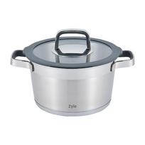 Indukcinis puodas su dangčiu 2.5l Zyle ZY12720CS