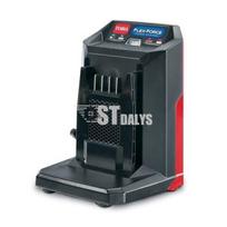 Toro-5A Toro-60V MAX* Flex-Force baterijų įkroviklis