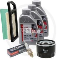 4 serijos vertikalaus variklio BRIGGS & STRATTON priežiūros rinkinys