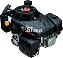 Variklis vertikaliu velenu Loncin LC1P75F