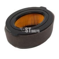 Oro filtras Thorx55 MTD 751-10794, 751-14262