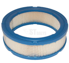 Oro filtras Briggs&Stratton 394018S