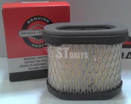 Oro filtras Briggs&Stratton (4207) 697029