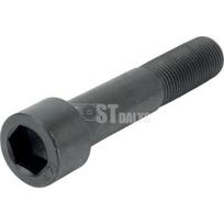 Šešiabriaunio lizdo varžtas M16x1.5x80