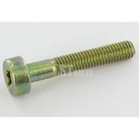Varžtas Torx5x30