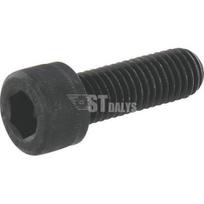 Varžtas M10x30.10