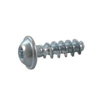 Varžtas K50x16 WN1451-Torx