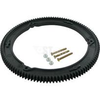 Smagračio dantratis Briggs&Stratton 499612