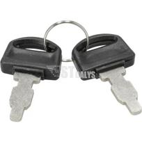 Raktų rinkinys BriggsStratton 590996