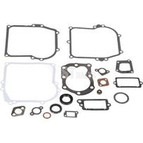 Briggs and Stratton variklio tarpinių komplektas 590777