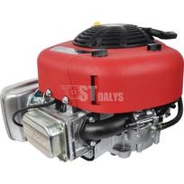 Variklis 11.5 HP Briggs&Stratton 21R6020008H5