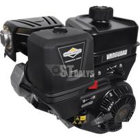 Variklis 9 HP Briggs&Stratton 19L2320314F1