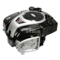 Variklis 5 HP Briggs&Stratton 1006020177H5