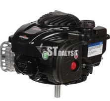 Variklis 4 HP Briggs&Stratton 09P6020036H5