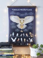 Plakatas „Tobulos medžiotojos. 13 Lietuvos pelėdų“