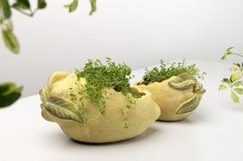 Betoninis gėlių vazonas „Citrina“