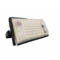Lauko šviestuvas 50W IP65 LED