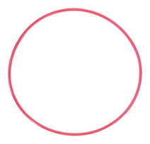 POL-EP03 O-Ring