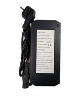 48V 2A AC Įkrovėjas Elektriniam Motoroleriui