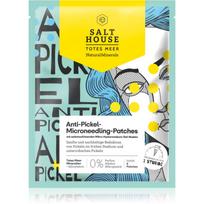 Salt House Natural Minerals Microneedling Anti-pimple Patches kaukės lapeliai probleminei odai nuo aknės 6 vnt.
