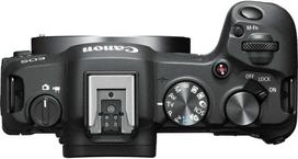 Canon EOS R8 + RF 600mm f/11 IS STM + Mount Adapteris EF-EOS R