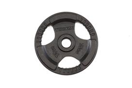 Svoris grifui TOORX DGN-TG D50mm 15kg