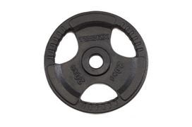 Svoris grifui TOORX DGN-TG D50mm 20kg