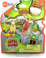 HEXBUG  Interaktyvūs nano gyviai, 3 vnt.