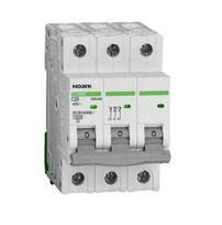 Automatinis jungiklis Noark 100145 3P 25A C 6kA Ex9BN C25