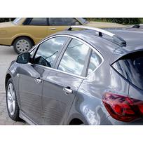 Stogo relingai, BĖGIAI TOYOTA RAV4 (2006-2012)