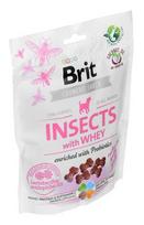 BRIT Care Dog Insects and Whey - Skanėstas šunims - 200 g