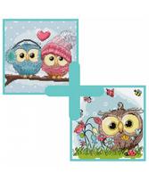 Rinkinių duetas: "Two Cute Owls" ir "Happy Owl"