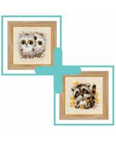 Rinkinių duetas: "Little Owls" ir "Little Raccoon"