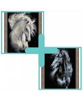 Rinkinių duetas: " Andalusian Character" ir "Breeze Through Mane"