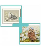 Rinkinių duetas: "Lucky Owl" ir "White Owl"