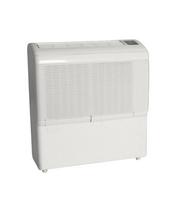 Oro sausintuvas baseinui Ecor pro D950E