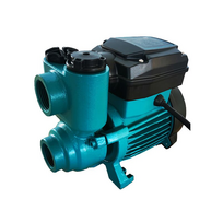 Sausai statomas siurblys LEO PQ50E 0.37kW 230V max. 35m 33L/min.