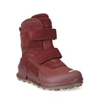ECCO Žieminiai batai Gore-Tex  BIOM 711202-60777/33