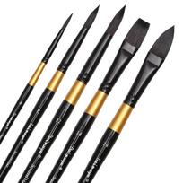 Akvarelės dažų šepetėlių rinkinys Dainayw Squirrel Hair Profesionalus menininkas tapybos šluota guašo akvarelės rašalui, 5 vnt. 5 pcs