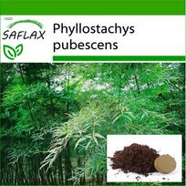 SAFLAX - Moso Bamboo - 20 sėklų - Su vazono substratu geresniam auginimui - Phyllostachys pubescens