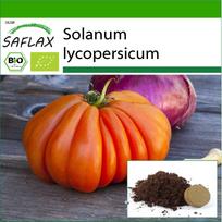 SAFLAX – Ekologiški – Pomidorai – Jaučio širdis – 10 sėklų – Su substratu vazonams geresniam auginimui – Solanum lycopersicum