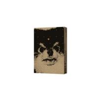 V (BTS) - [Layover] Solo albumas WEVERSE ALBUM Weverse