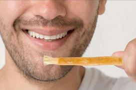 Nauja Miswak natūrali burnos priežiūra: Organinis dantų šepetėlis Zeytun Miswaak – švelni sveikų dantų priežiūra, Miswak Natural dantų priežiūra 5 piece