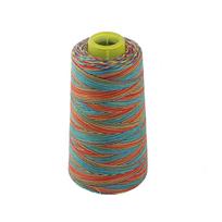 Poliesterio siuvimo siūlų ritė siuvimo mašinai 40S/2 Multi-Color įvairiaspalvė spalva